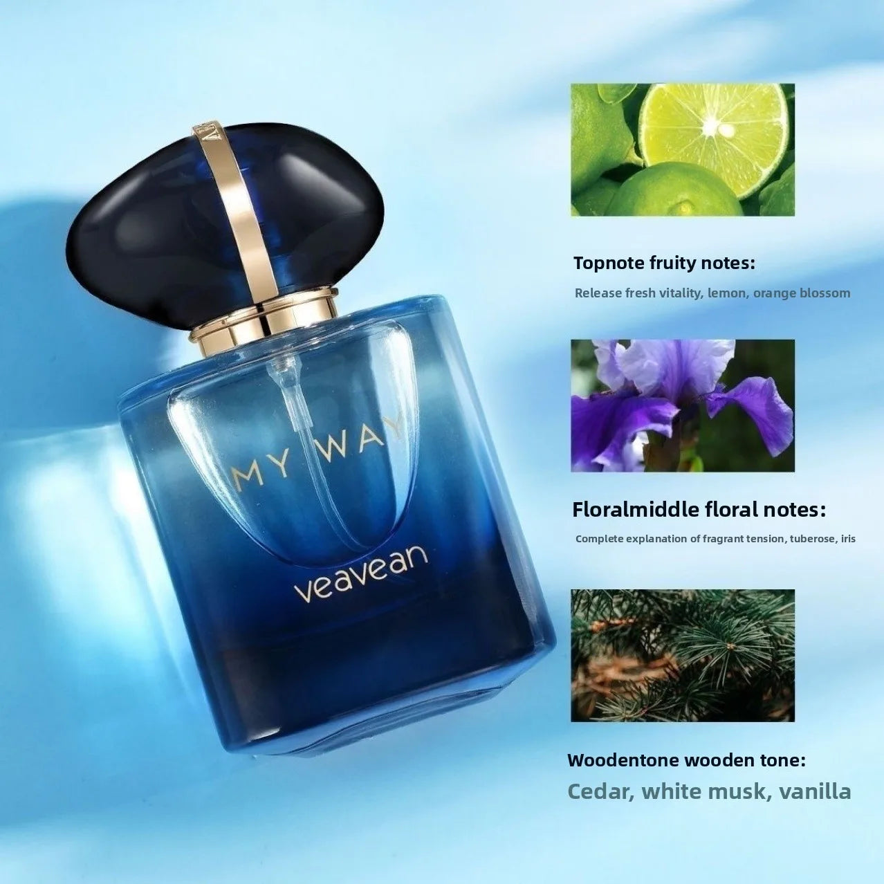 Parfum classique unisexe Parfum longue durée Floral fruité parfum bois longue durée haute qualité femmes parfums