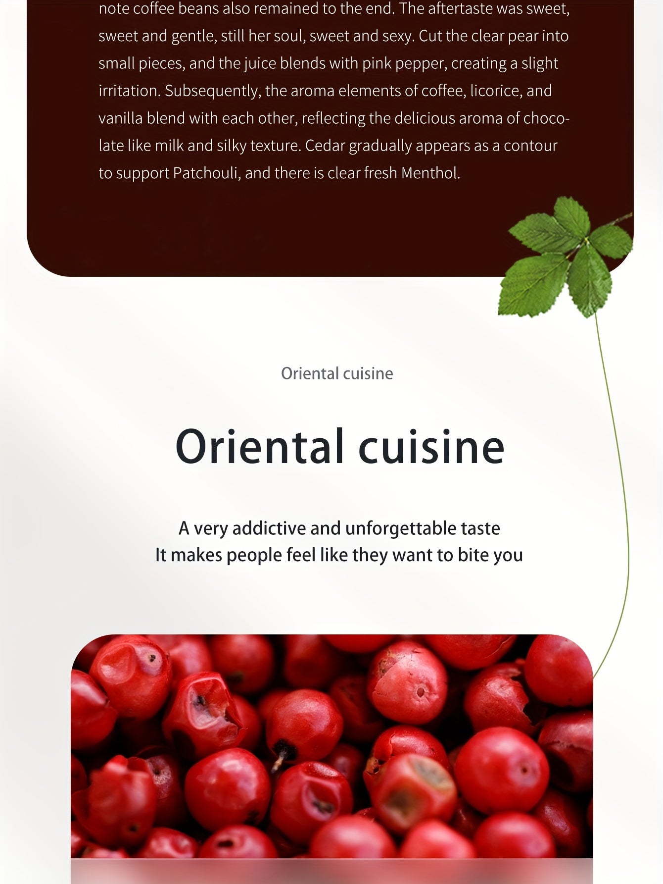 100ml Elegant Womens Eau De Parfum - Enchanting, Long-Lasting Floral & Fruity Blend - Perfect for Dating, Daily Wear & Special Occasions - A Luxurious Christmas Gift for Her - Lencensa 