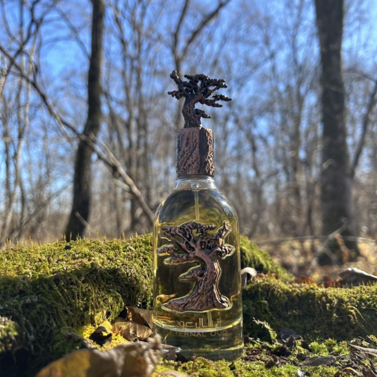 Lattafa - Eternal Oud 100ML | Eau De Parfum Unisex | Perfume from Dubai | Made in U.A.E