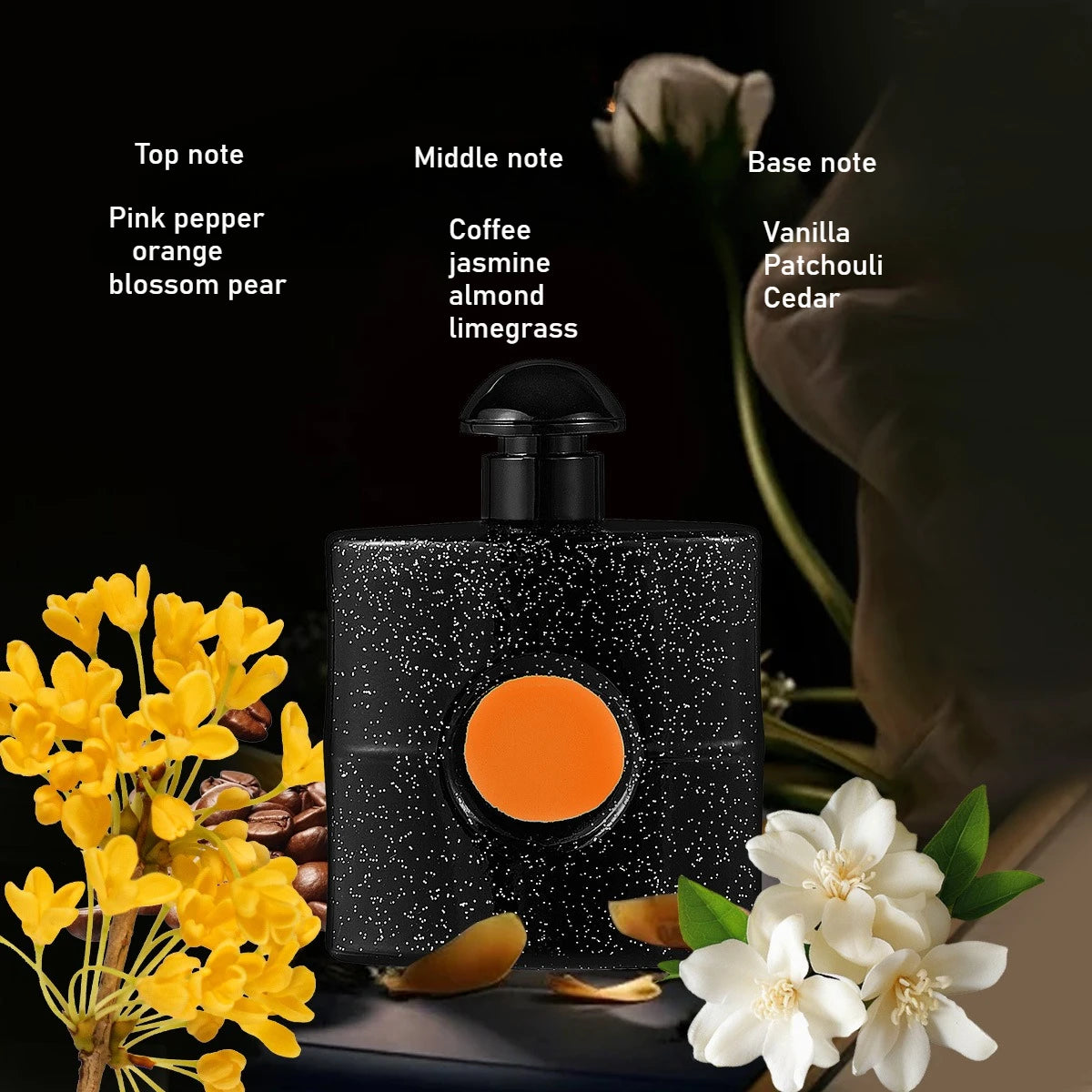 Coffret 8 Mini Parfums Femme - Fragrances Boisées Florales Portables - Lencensa 