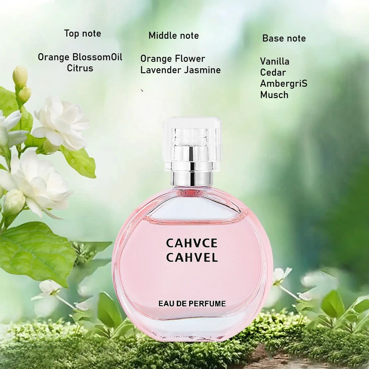 Coffret 8 Mini Parfums Femme - Fragrances Boisées Florales Portables - Lencensa 