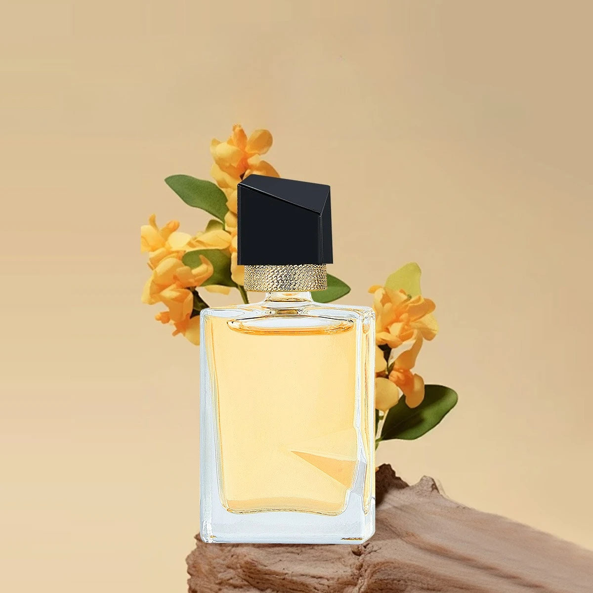 Coffret 8 Mini Parfums Femme - Fragrances Boisées Florales Portables - Lencensa 